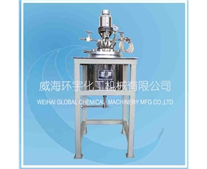 High Pressure Reactor with Magnetic Seal